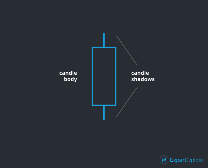 The candlestick bars